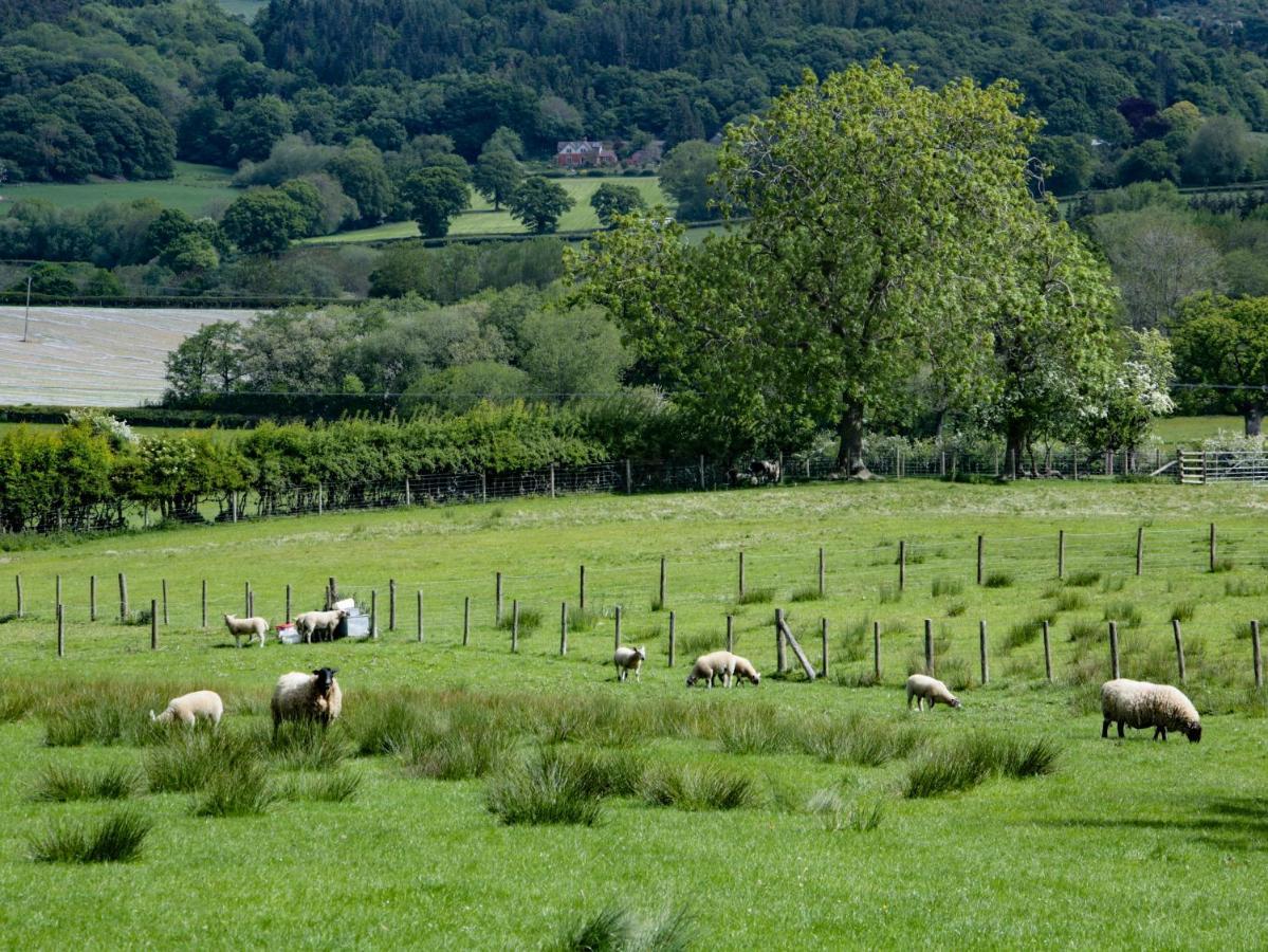 Broughton Stables Vila Montgomery Exterior foto